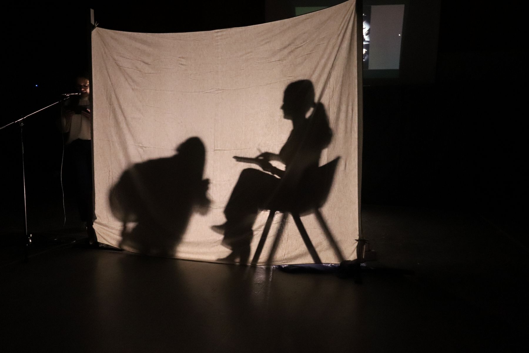 Atuação no Sarau Poético 2026