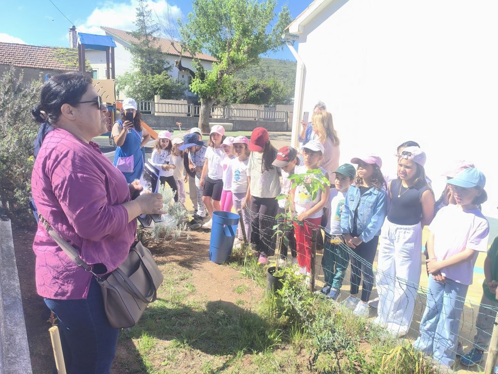 prepresentante cmo eb1 bairro