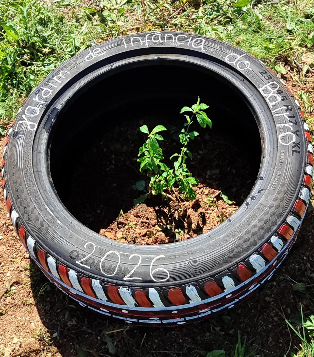 Plantação da amendoeira com pneu decorado