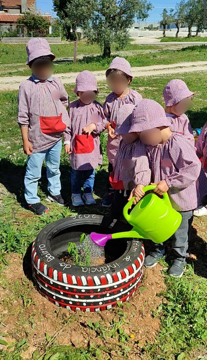 Criança a plantar árvore