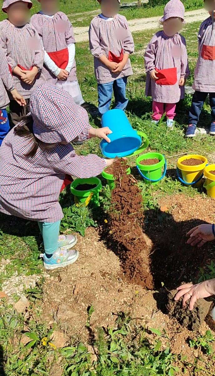 Colocação de terra