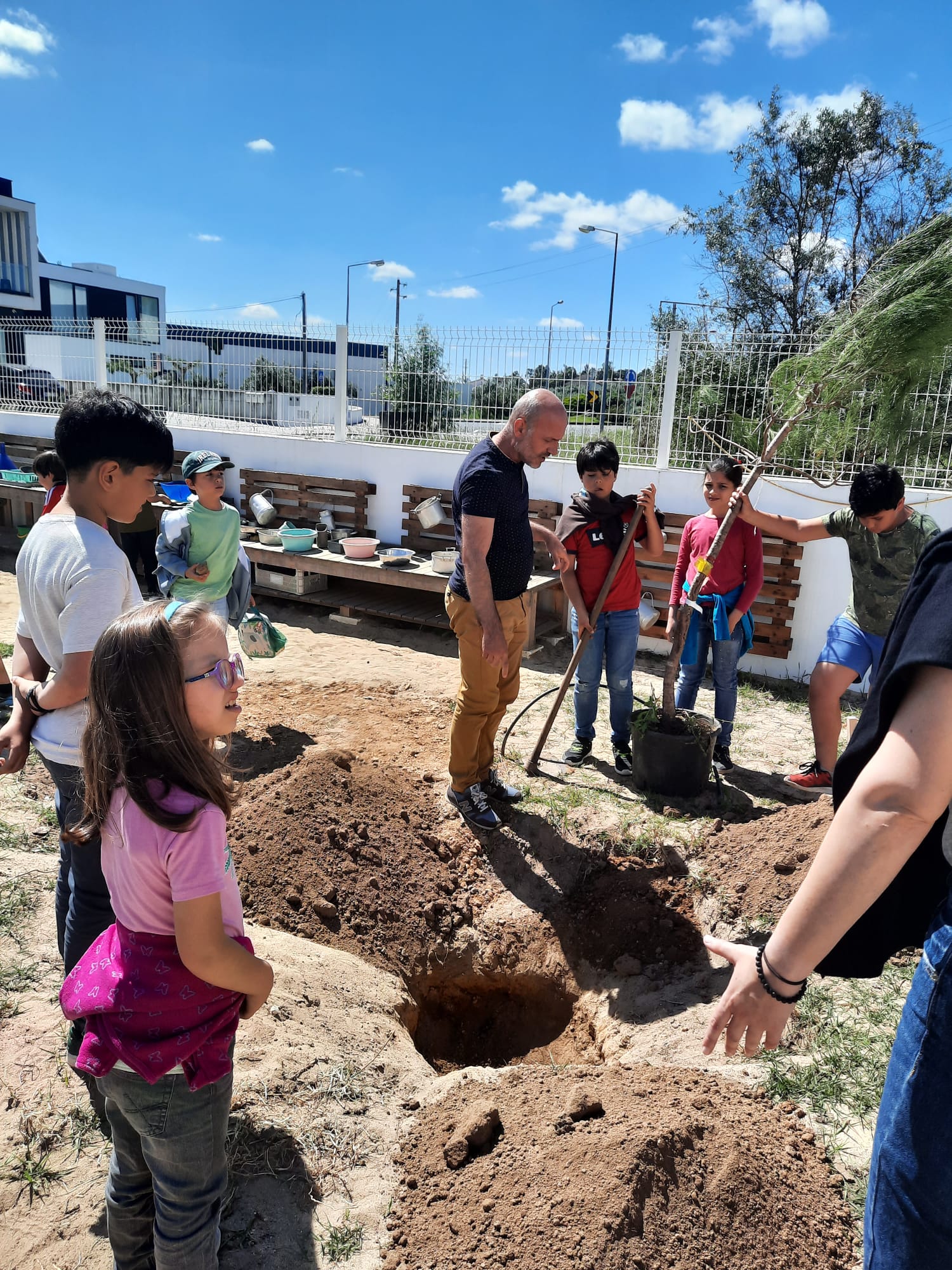 1.º ciclo a plantar