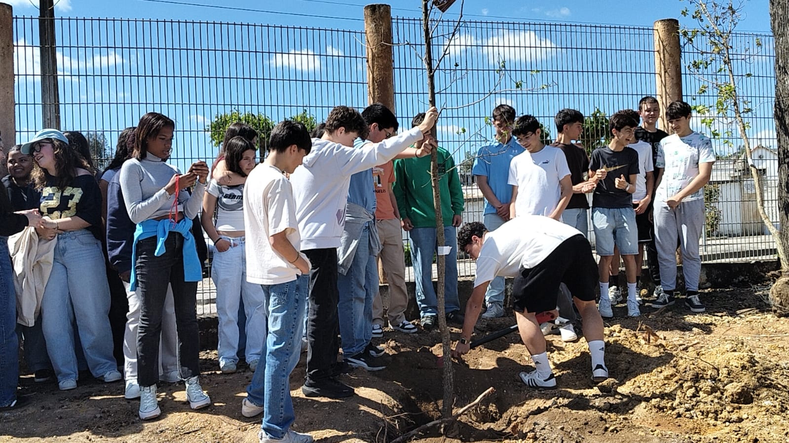 9.º ano a plantar árvore