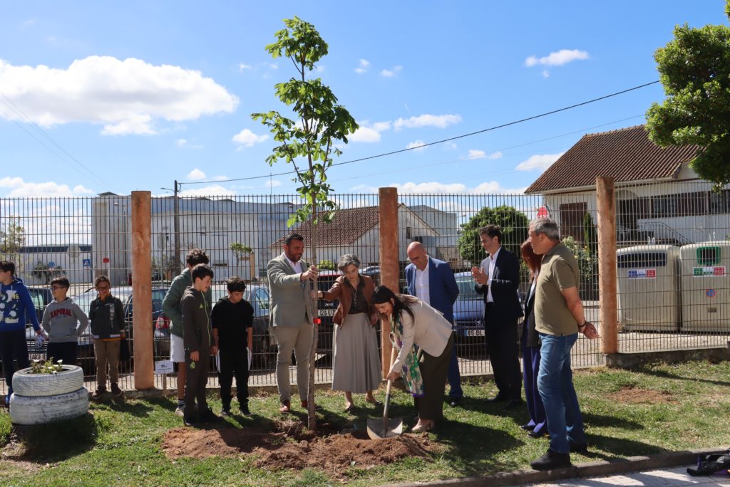 Plantação da primeira árvore