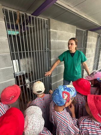 Equipa do canil explica os cuidados a ter com os animais